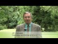 Influenza and Wobenzym