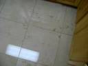 MOV01360after.AVI