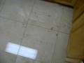 videos de MOV01360after.AVI