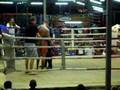 videos de Joyo muay thai