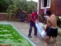 videos de eliane