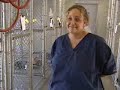 As WXII 12's Angela Pellerano reports, a Piedmont animal shelter is coping with overcrowding.