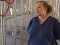 Animal Shelter Battles Overcrowding