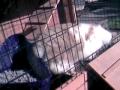 DSCI0045.AVI