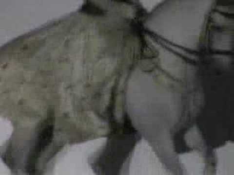 There is no image associated to this video