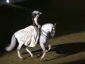 Apassionata Lusitano Stallion 2 Apassionata Lusitano Stallion 2