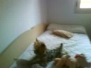 kitty fent l'inve....