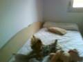 videos de kitty fent l'inve....