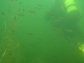 Tauchen in Salzgitter Lebenstedt 2