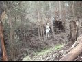 videos de zipline