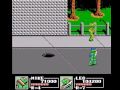 www.longplays.net played by ravenlord & 18delta this was the last side-scrolling teenage mutant ninja turtles game for nes. it followed the highly acclaimed turtles ii over a year later and, unlike its predecessor, doesn't have an arcade counterpart. the third game in the series is basically the same as the second. the story and the stages are different, of course, but it doesn't really matter. choose your favourite turtle and kill as many foot clan soldiers as you can, fight the bosses and ...