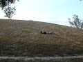 hill