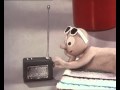 Morph - Sea Shell
