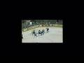Your San Jose Sharks
