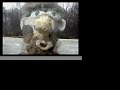Stopping by Woods on a Snowy Evening in Clay Animation Stopping by Woods on a Snowy Evening in Clay Animation