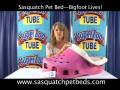 Sasquatch Pet Bed — Bigfoot LIVES!