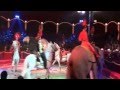 Cirkus Cirkus  Festival 2012
