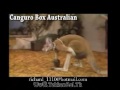 TekkeN Vida Real WwW.TekkenBol.Tk