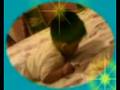 videos de Dolff Martino Turnip ep 3
