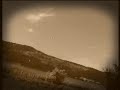 yavuz bing�l yemin