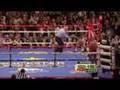 Floyd Mayweather Vs Ricky Hatton Final Round TKO