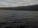 Loch Ness Cruise