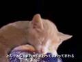 円広志動画8