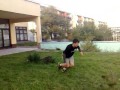 Free run - śliwa