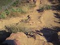Suicide Trail Aftermath... Agoura, CA