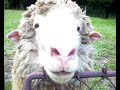 Jezeří-doly-Vysoká Pec výlet zdivočelou zemí Sudet