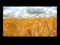 Abib (Nisan) - The Jewish Month of Abib (Nisan)