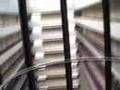 Otis Scenic Elevator at Marriott Marquis Atlanta - Retake 3