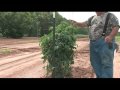 September Field Trip    - Growing a Vegetable Garden