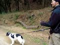 el gorg negre  episodi vi 