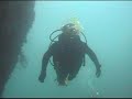 Dive Japan - the Aomori Prefecture Dive Japan - the Aomori Prefecture