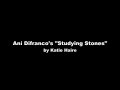 Ani Difranco - Studying Stones