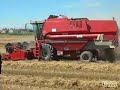 case 8900 au blé case 8900 au blé