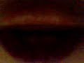Deceptacon- Le Tigre ; tongue wagging Deceptacon- Le Tigre ; tongue wagging