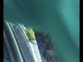 MOV0016A.avi