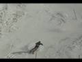 Southern Cup! Akira sasaki SL on corse