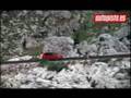 videos de Golf GTI VI.flv