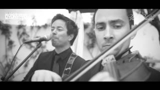 Viola & Violino - 2º momento - A Recepção/Cocktail