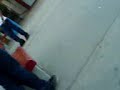 muere perro