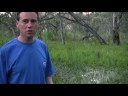 Murray Darling Basin tour - Macquarie Marshes Murray Darling Basin tour - Macquarie Marshes