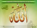gohurin  islam