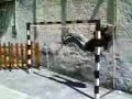 fattorusso a scign ... fatorusso monkey 