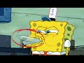 spongebob subtle marine biology jokes spongebob subtle marine biology jokes