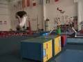 ethan willhite flips 2