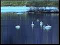 ALONENESS (OSHO Meditation Minutes)