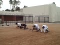 Elco practice